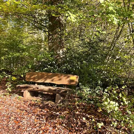 En Pleine Nature Lägenhet Klingenthal